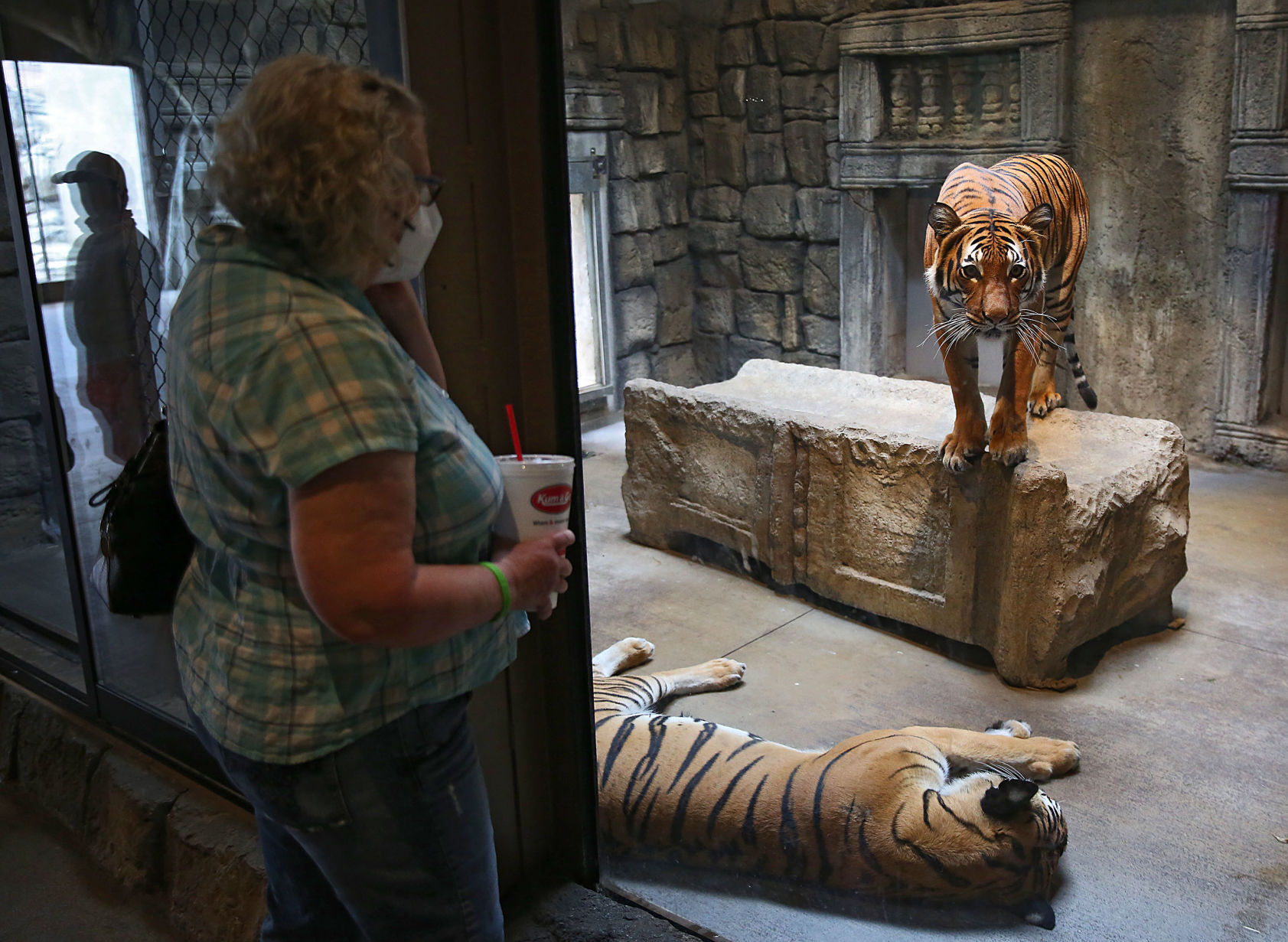 TULSA zoologijos sodas